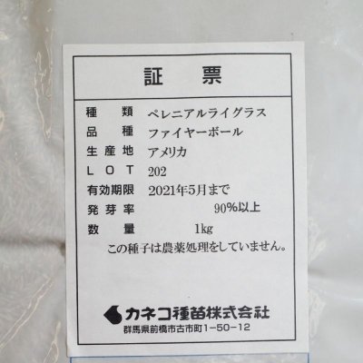 【西洋芝種子】ペレニアルライグラス|ファイヤーボール