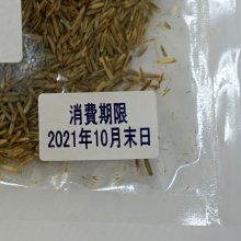 詳細写真1: イタリアンライグラス｜家庭園芸・実験栽培用種子【100g】【送料無料】【時間指定不可】