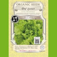 【有機種子・固定種】リーフレタス / ブラックシーデッドシンプソン / 緑【大袋50ｍl】Lactuca sativa 