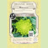 【有機種子・F1種】ロマネスコ[ベロニカ]【1000粒】Brassica oleracea convar. botrytis var. botrytis