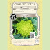 【有機種子・F1種】ロマネスコ[ベロニカ]【1000粒】Brassica oleracea convar. botrytis var. botrytis