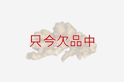 三州ショウガ｜タネしょうが（小生姜）【500g】千葉県産種生姜