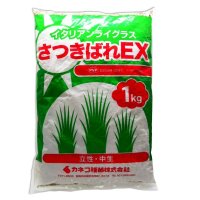 【牧草種子】イタリアンライグラス｜さつきばれEX【1kg】中生種｜中期利用型｜PVP登録品種｜カネコ種苗製