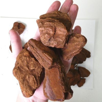 デコレーションバーク【L粒・6-10cm】