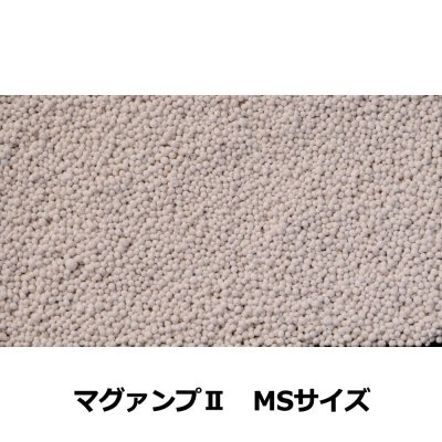 マグァンプII(MAGAMP 2)業務用【20kg】