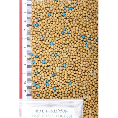 【肥効8-9ヶ月】オスモコートエグザクト(N15-P9-K11)スタンダード【25kg】