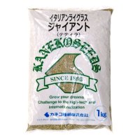 【牧草種子】イタリアンライグラス｜ジャイアント（テティラ）【1kg】中晩生種｜中期利用型｜カネコ種苗製