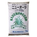 【牧草種子】アウェナストリゴサ｜ニューオーツ【早生種】飼料作物【1kg】カネコ種苗製