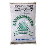 【牧草種子】アウェナストリゴサ｜ニューオーツ【早生種】飼料作物【1kg】カネコ種苗製