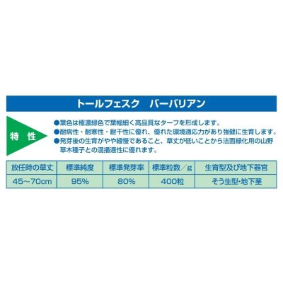 トールフェスクバーバリアン