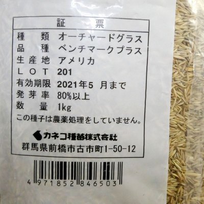 【牧草種子】オーチャードグラス|ベンチマークプラス(早生種)