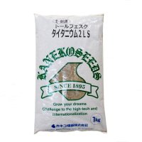[新発売]【西洋芝・緑化】トールフェスク タイタニウム2 LS（Lateral Spread）【1kg】カネコ種苗