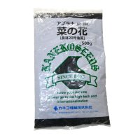 【景観用種子】アブラナ 菜の花｜セイヨウアブラナ（農林20号油菜）【500g】耐雪性高い｜カネコ種苗