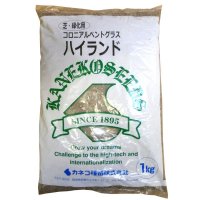 コロニアルベントグラス ハイランド【1kg】【約70-100平方メートル/kg】