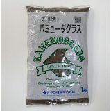 [値下げ]【暖地型芝草】バミューダグラス 【1kg】Bermudagrass