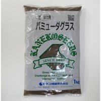 [値下げ]【暖地型芝草】バミューダグラス 【1kg】Bermudagrass