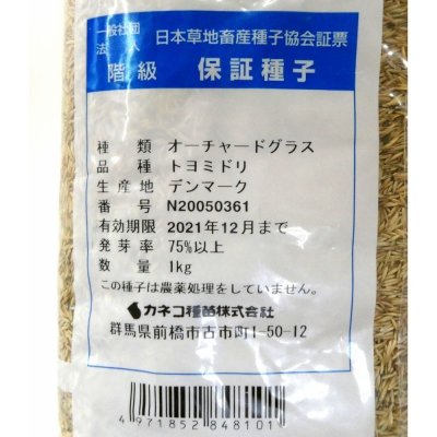 オーチャードグラス トヨミドリ