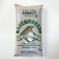 【牧草種子】オーチャードグラス｜はるねみどり（早生種）【1kg】越冬性あり早春草勢優れる嗜好性の高い人気の多年生牧草｜PVP登録品種｜カネコ種苗製