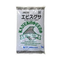 【緑肥用種子】エビスグサ｜線虫抑制｜マメ科【1kg】カネコ種苗製