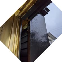 詳細写真1: [値下げ]業務用スズメバチ捕獲器（2個入り）｜スズメバチ用誘引捕獲剤（薬剤不使用）