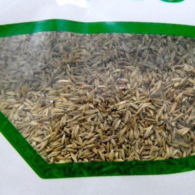 ケンタッキーブルーグラス|プラフィン