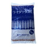 【牧草種子】ライコムギ｜ライダックスE【1kg】カネコ種苗製