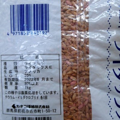 ライコムギ｜ライダックスE