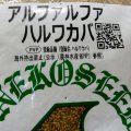 【牧草種子】アルファルファハルワカバ（寒冷地向け）【500g】耐寒性あるマメ科の多年生牧草｜PVP登録品種｜カネコ種苗製