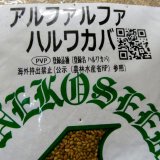 【牧草種子】アルファルファハルワカバ（寒冷地向け）【500g】耐寒性あるマメ科の多年生牧草｜PVP登録品種｜カネコ種苗製