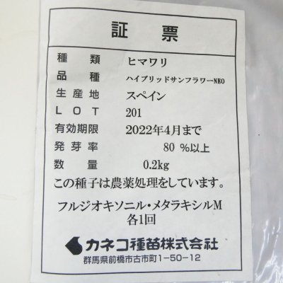 ヒマワリ《ハイブリッドサンフラワーNEO》