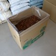 茨城小松菜箱入り-ココチップ50L