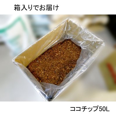 茨城小松菜箱入り-ココチップ50L｜4S