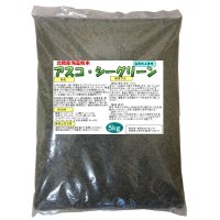 北欧・カナダ産海藻粉末 ｜アスコ・シーグリーン【5kg】