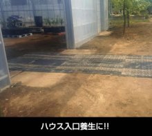 詳細写真1: 軽量敷板リピーボード【3ｘ6判（910ｘ1820ｘ13mm）】【片面凸】リピープラス【送料無料】【陸送地域のみ】【個人名あて発送不可】