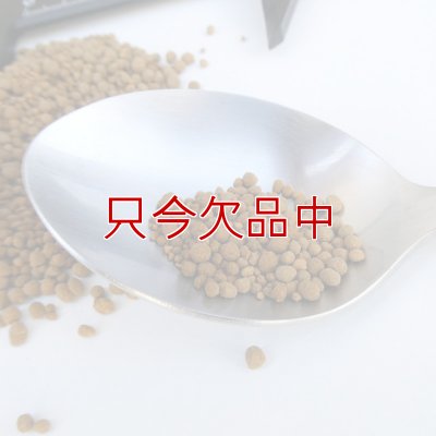 【細粒】多肉植物用赤玉土｜粒径2-3mm【2kg】