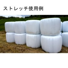 詳細写真3: バイオパワーデラックス｜BP・DX【2L】畜産用乳酸菌-土壌菌培養液（Ａ飼料）【送料無料】【日祭日の配送および時間指定不可】【陸送地域のみ】