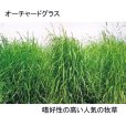 寒冷地型混播種子セット【放牧地用・20a分/8.5kg】