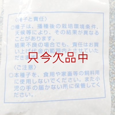 シロヒエ｜早生種【1kg】