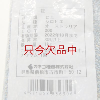 シロヒエ｜早生種【1kg】