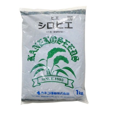 シロヒエ｜早生種【1kg】