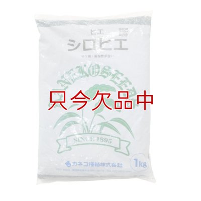 シロヒエ｜早生種【1kg】