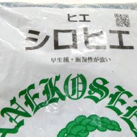 【牧草種子】シロヒエ｜早生種【1kg】耐湿性あり｜カネコ種苗製