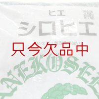[値下げ]【牧草種子】シロヒエ｜早生種【1kg】耐湿性あり｜カネコ種苗製
