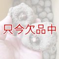 [完売・次回は2025年12月より予約開始します]コンニャク種芋｜赤城大玉（あかぎおおだま） 2年子【200g（3〜6粒）】群馬県産