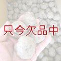 [完売・次回は2025年12月より予約開始します]コンニャク種芋｜在来種 2年子【200g（3-6粒）】栃木県産