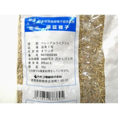 ペレニアルライグラス道東1号