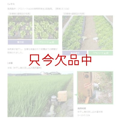 アミハート（N3.6-核酸3.0）【20kg】発根促進肥料｜味の素株式会社