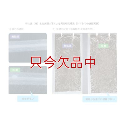 アミハート（N3.6-核酸3.0）【20kg】発根促進肥料｜味の素株式会社