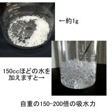 詳細写真2: 土の保水剤（顆粒）【100g】土壌専用高分子保水材（吸水ポリマー）【いくつでも全国一律送料530円】