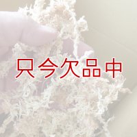 ペルー産ミズゴケ[AAAA級] 【500g / 40L】Inka Moss【プレミアム水苔】